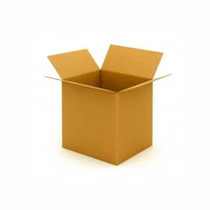 Single Wall Cardboard Box 12x9x12"