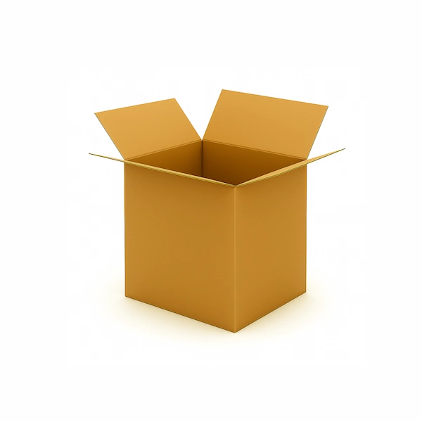 Single Wall Cardboard Box 12x9x12"